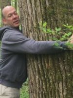 Abdominal Hollowing vs Abdominal Bracing Lesson from trees