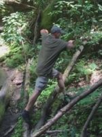 Risk and Independence at Hemlock Cliffs