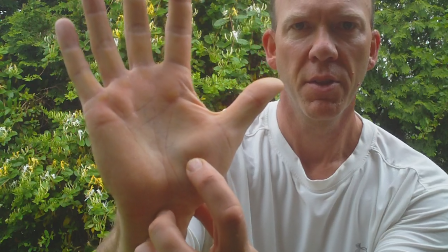 How Can This Point On Your Hand Help You Have Better Posture?
